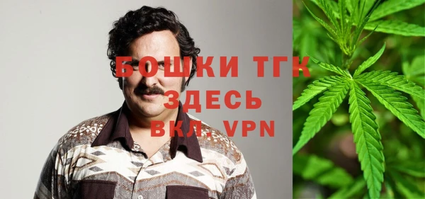 ALPHA-PVP Богородицк