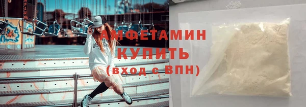 дмт Богданович