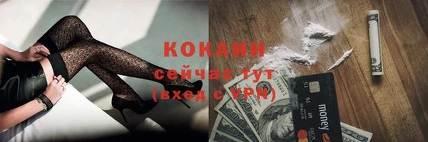 стаф Богородск