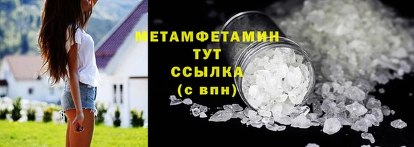 дмт Богданович