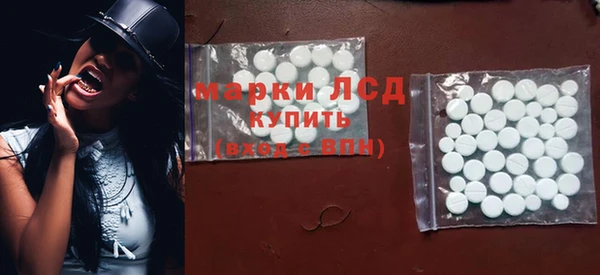 дмт Богданович