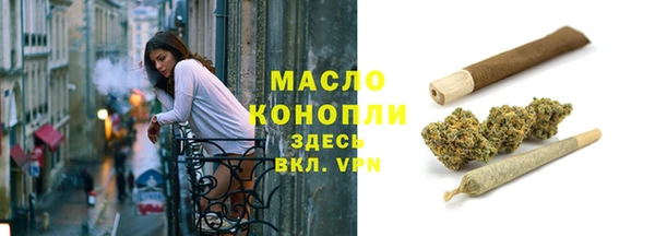 дмт Богданович