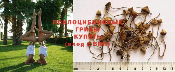 ALPHA-PVP Богородицк