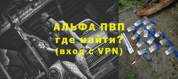 стаф Богородск