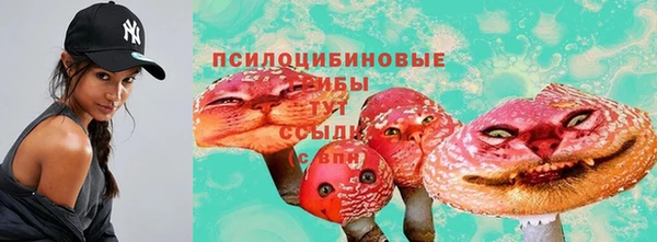 ALPHA-PVP Богородицк