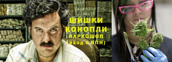 молекула духа Бронницы