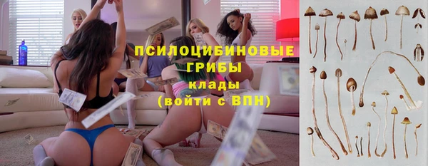 ALPHA PVP Заволжск