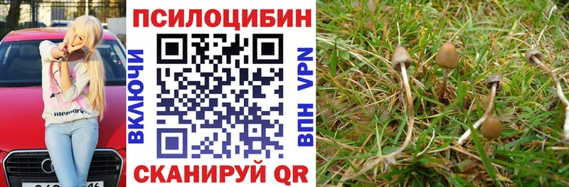 Галлюциногенные грибы Psilocybine cubensis  Дигора 